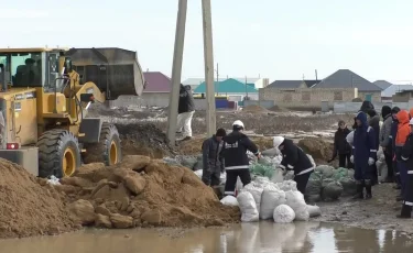 Потеплело и потекло: в Атырауской области талые воды подтопили село