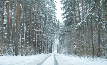 Сильные морозы, снег и метель: прогноз погоды на 19 февраля