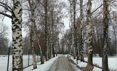 Алматыда  4 -10 наурыз аралығында ауа райы қандай болады 