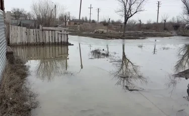 Талые воды: в области Улытау несколько лет подтапливает жилой дом