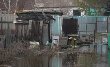 Саяжайдағы дау: Қарағандыда бау-бақшаны су басты