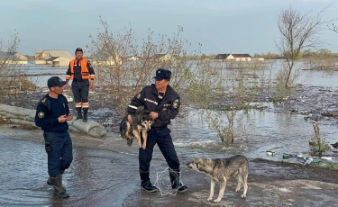 Паводки в Западном Казахстане: эвакуировано более 13 000 человек