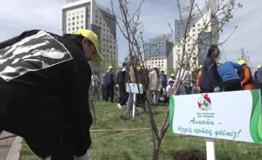 Алматы – біздің ортақ үйіміз: өнер тарландары сенбілік өткізді