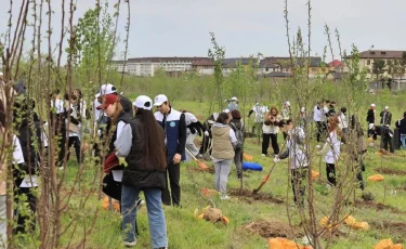 В Наурызбайском районе Алматы в скверах «Калкаман» и «Акжар» было посажено 600 саженцев