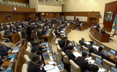 Депутаты мажилиса раскритиковали презентацию новой промышленной политики
