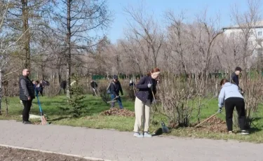 Таза Қазақстан: в СКО высадили около 20 тысяч деревьев