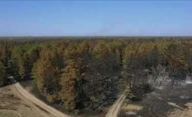 Тілсіз жау: орман өртін жедел анықтау үшін жаңа технология қолданылмақ