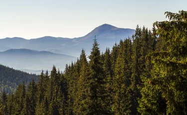 Жара до +40°C, дождь и ветер: прогноз погоды на 19 июня