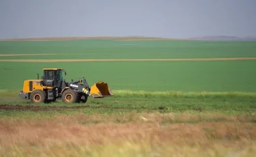 Борьба с саранчой: в области Улытау проведена химическая обработка от насекомых