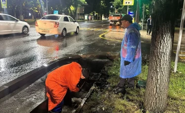 Тәулігіне 12 мм жауын-шашын: Алматыда арықтардан 590 м3 қоқыс шығарылды