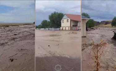 Непогода: в одном из сел Алматинской области подтопило дома (видео)