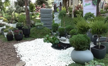 В мегаполисе стартовал ежегодный проект Almaty Garden Show