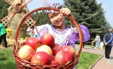 Жәрмеңке, концерт және Шапито циркі: Алматыда әйгілі Apple Fest фестивалі өтеді