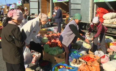 Алтын күз: Сыр өңірінің диқандары өнімін сатылымға шығарды