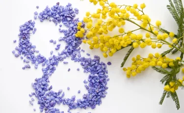 Что вы знаете о женщинах: тест на 8 марта