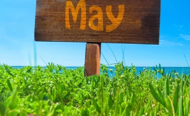 Праздник каждый день: самые необычные даты, которые отмечаются в мире в мае