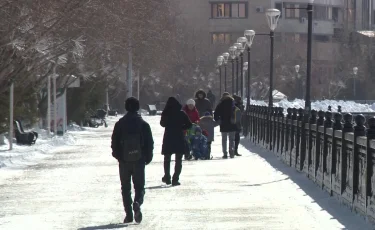 Жұмыртқа тағы қымбаттай ма: СҚО-да бірқатар құс фабрикасы субсидиясыз қалмақ