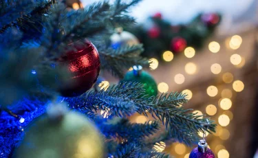 Тест "Новогодний"