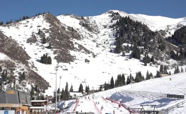 Бейжің-2022: Олимпиада алауын роботтар да алып жүреді