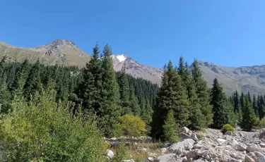 Алматыда туризм саласын дамыту бағытында қандай жұмыстар атқарылып жатыр