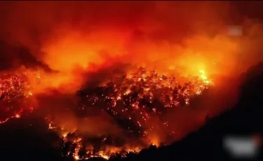 Больше тысячи породистых овец сгорели заживо в Атырауской области
