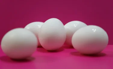 Қазақстан 2025 жылға қарай құс етін импорттауды тоқтатады