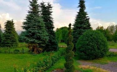 АҚШ Украинаға әскери көмек есебінде қаржы бөлді