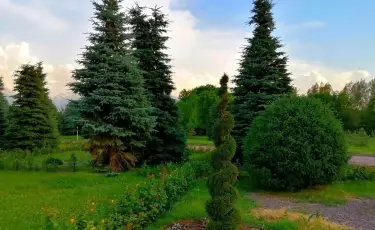 АҚШ Украинаға әскери көмек есебінде қаржы бөлді