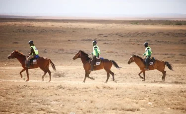 Ұлы дала жорығы: Елімізде алғаш рет 1200 шақырымдық марафон-бәйге өтеді