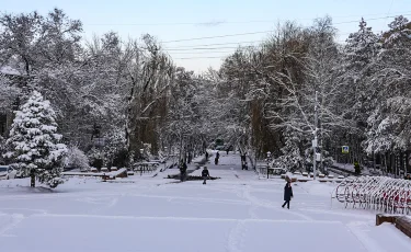 Казахстанцы станут потреблять больше рыбы: принята программа до 2030 года
