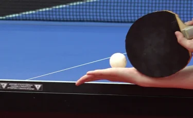 Қазақстанда Спорттық бағдарламалау федерациясын құрылды