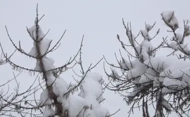 Еліміздің қай өңірінде күн бұзылады