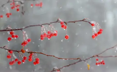Еліміздің бірқатар өңірінде қар жауып, көктайғақ болады