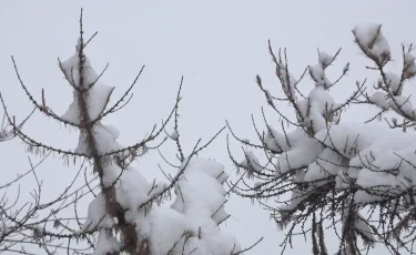 Алматыда күн райы қалай құбылмақ - синоптиктер