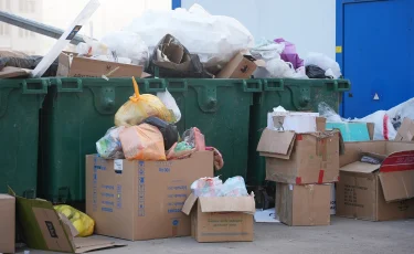 Ақтөбеде қоқысты өңдеу үшін экзотикалық шыбындар қолданылмақ