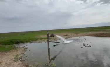 Ердоған түрік халқынан кешірім сұрады