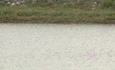 Түркияның оңтүстік-шығысында 4,1 балдық сілкінісі болды