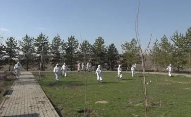 Алматыда кенелерге қарсы өндеу жұмыстарының бірінші кезеңі басталады