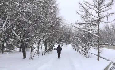 В ближайшие дни Казахстан ждет неустойчивая погода