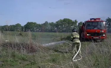 Абай облысындағы тілсіз жаумен күрес әлі де жалғасып жатыр