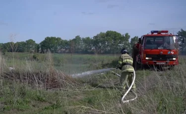 В ВКО на площади 20 гектаров загорелась трава