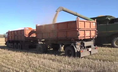 Ауғанстан үкіметі Қазақстаннан бидай мен ұн бағасына жеңілдік беруді сұрады