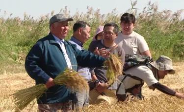 Жолдау-2023: Ауыл шаруашылығын дамыту жолдары қандай - мамандар пікірі