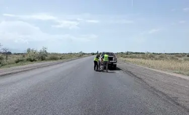 Күре жолдардың ахуалы жайлы ақпарат арнайы базаға енеді