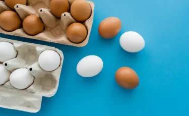 Қоңыр немесе ақ: жұмыртқаның қай түрі пайдалы