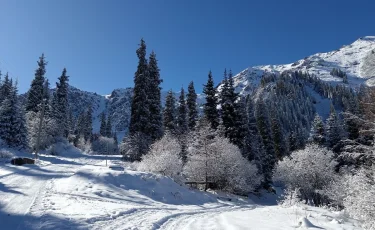 Дождь, снег и метель: прогноз погоды на 14 февраля