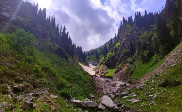 Жара до +23°, дождь, ветер: прогноз погоды на 5 апреля