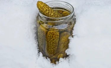 Испытания холодом: как заставить огурцы хрустеть