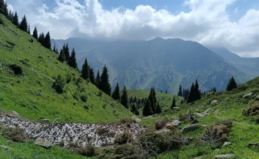 Жара до +40°C, гроза и ветер: прогноз погоды на 26 июня