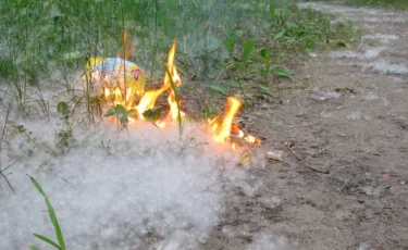 С природой не поспоришь: жителей СКО беспокоит тополиный пух